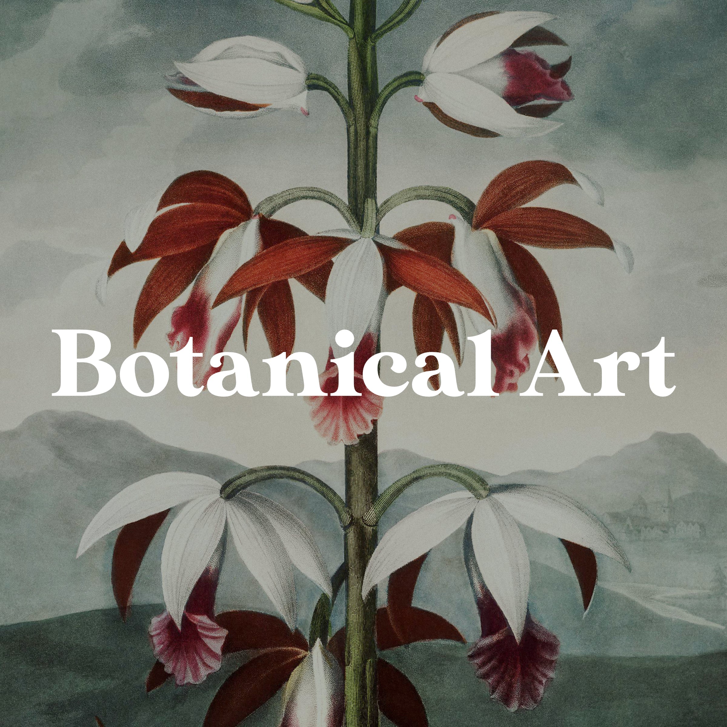 Plants, Flowers & Funghi – Page 2 – Pathos Studio