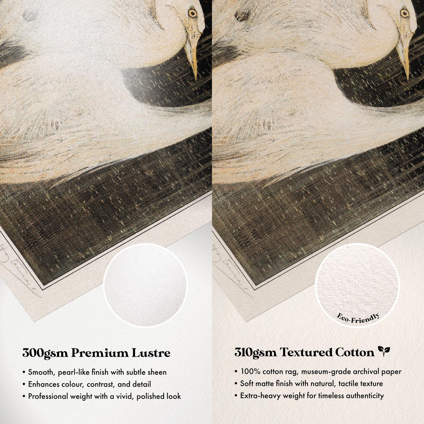 Paper Comparison