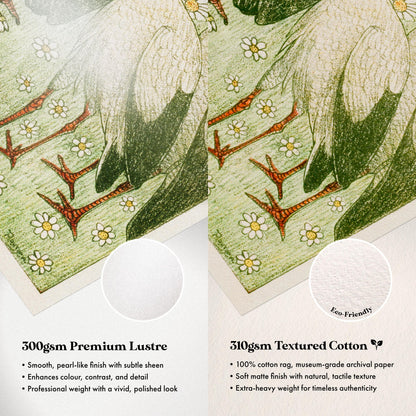 Paper Comparison