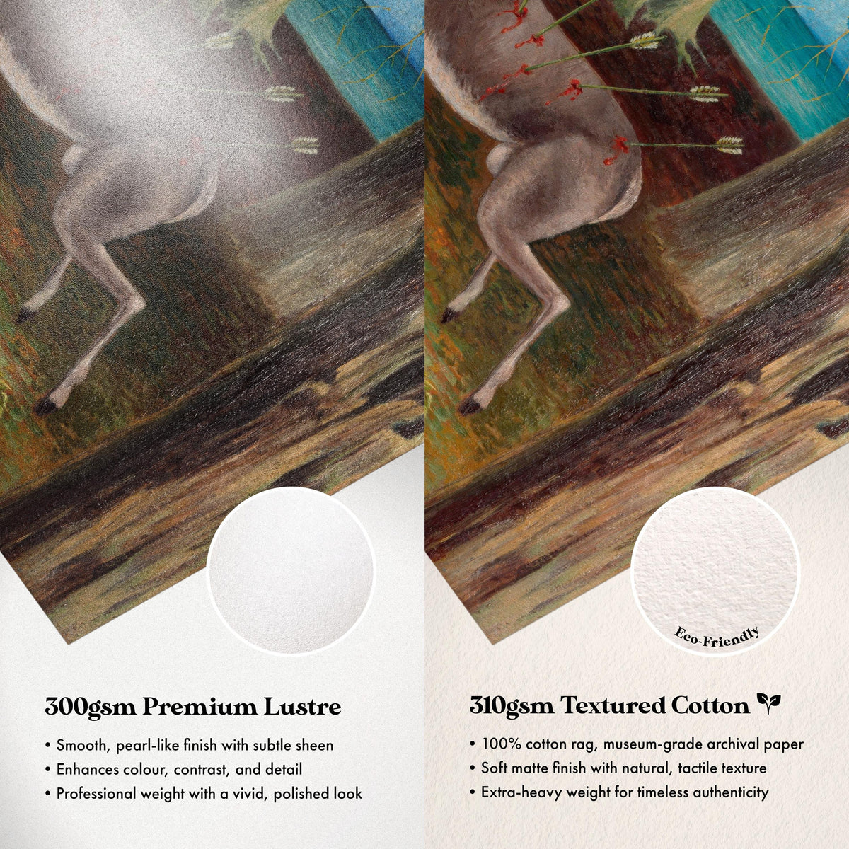 Paper Comparison
