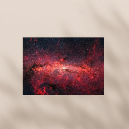 Print Only