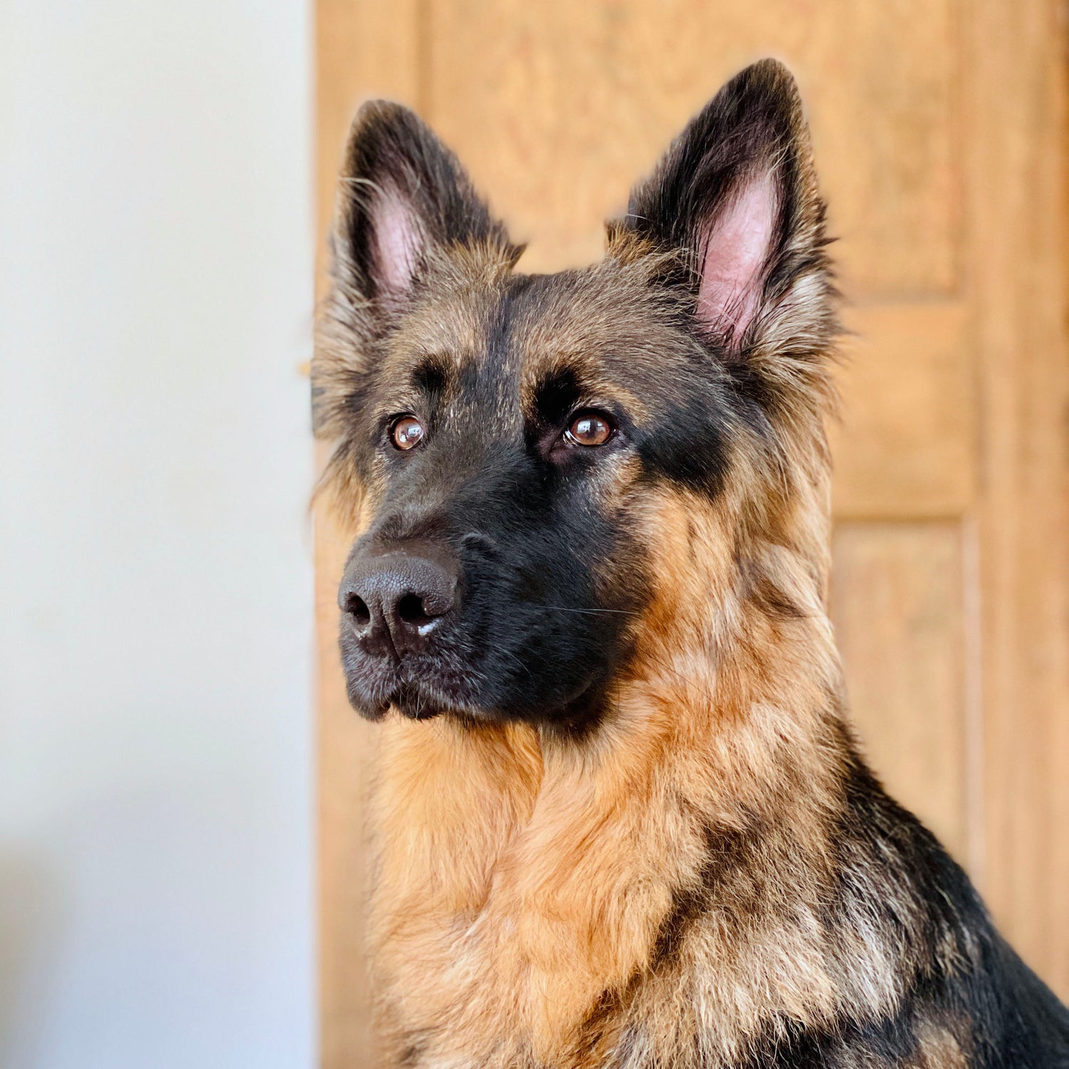 PATHOS STUDIO | Premium Giclée Art Prints and Organic Cotton T-Shirts ...