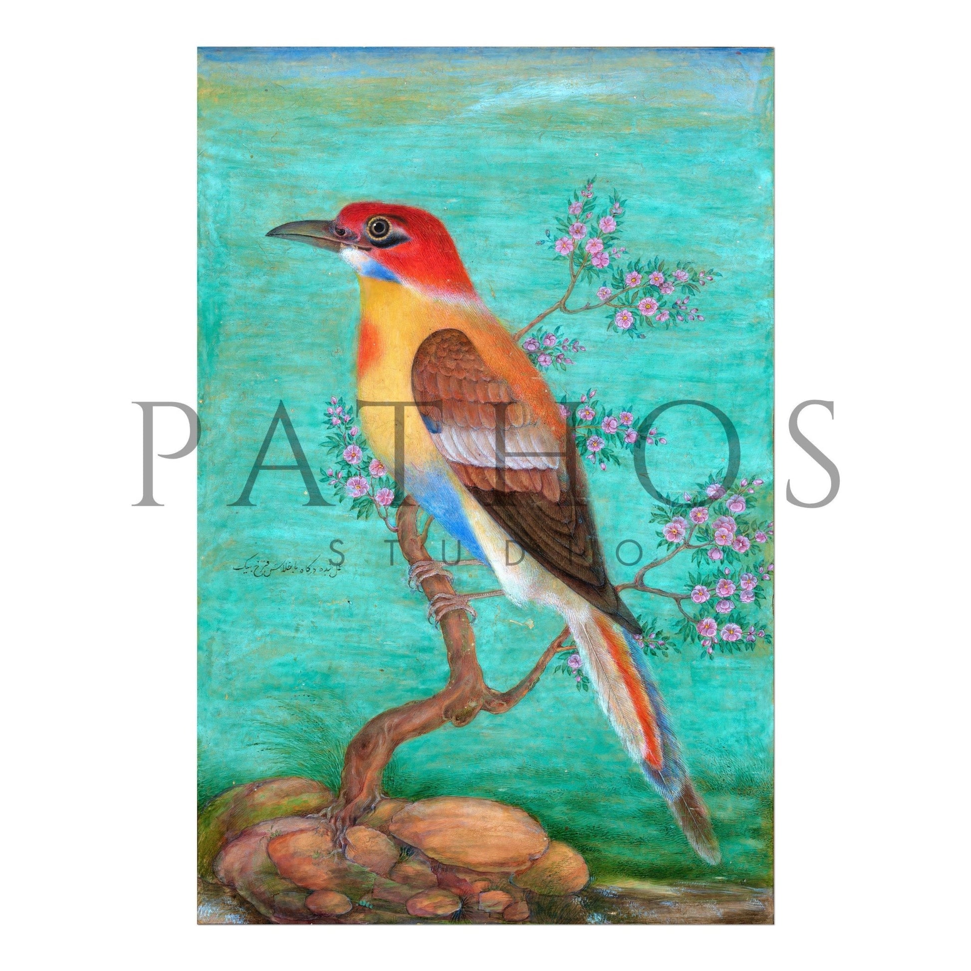 Bee - Eater (Traditional Persian Miniature Art) - Pathos Studio - Art Prints