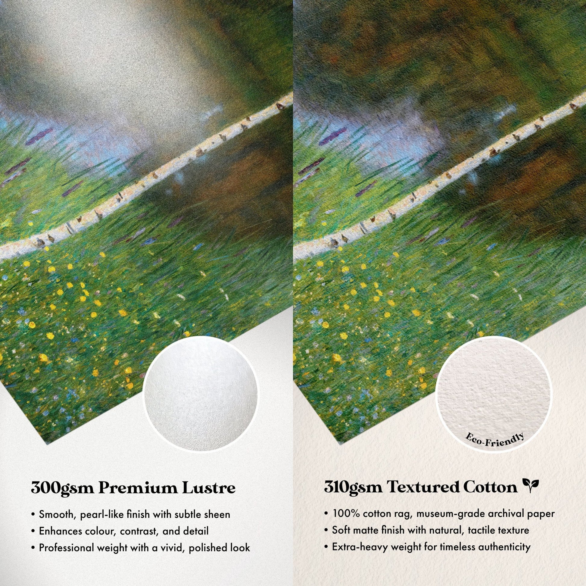 The image is a collage of two images, one depicting a lush green field with yellow flowers and the other showing a white line. The text provides information about the quality of the paper used, comparing a premium lustre paper to a textured cotton paper.
