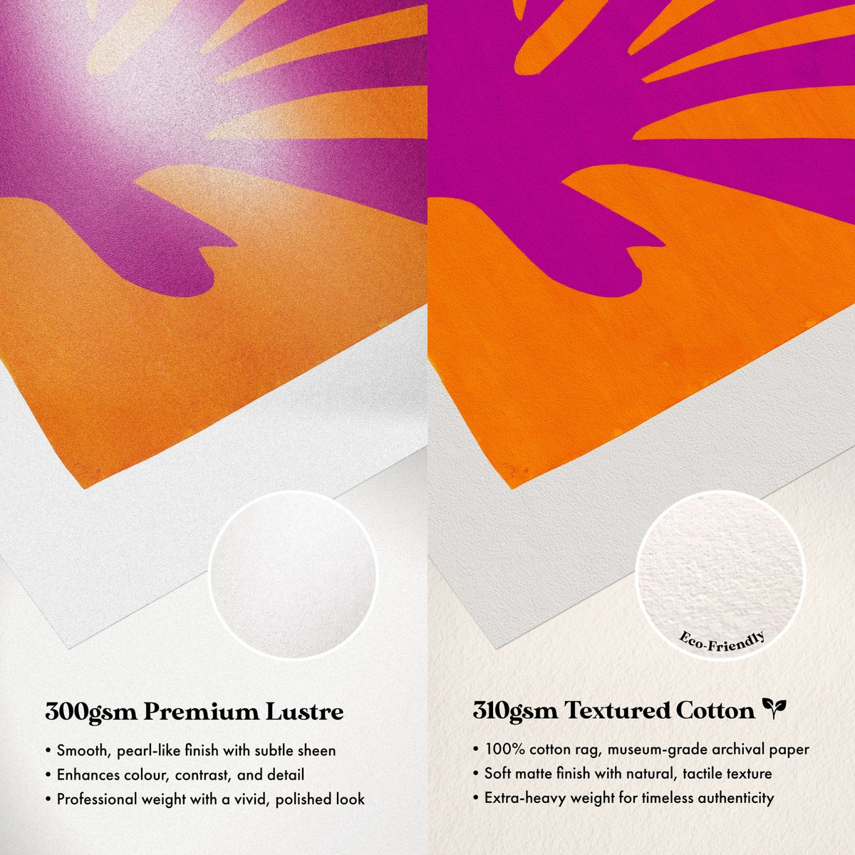 Paper Comparison