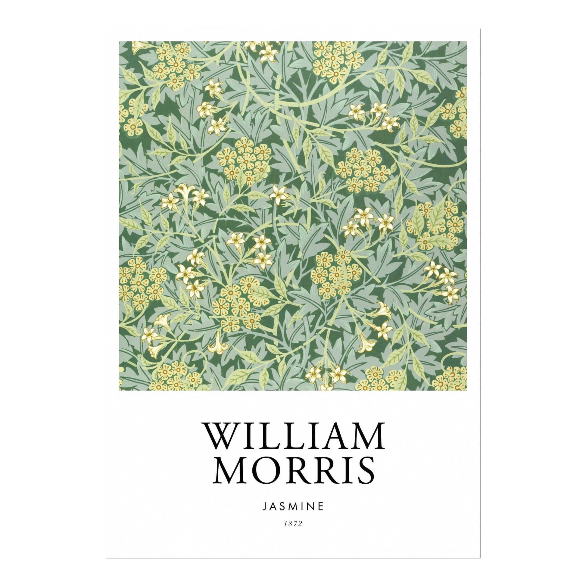 Jasmine (Poster Style) - Pathos Studio - Art Prints