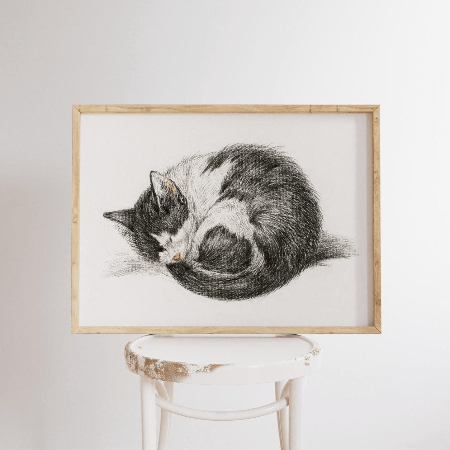 Jean Bernard - Curled Up Sleeping Cat | Art Prints | Pathos Studio