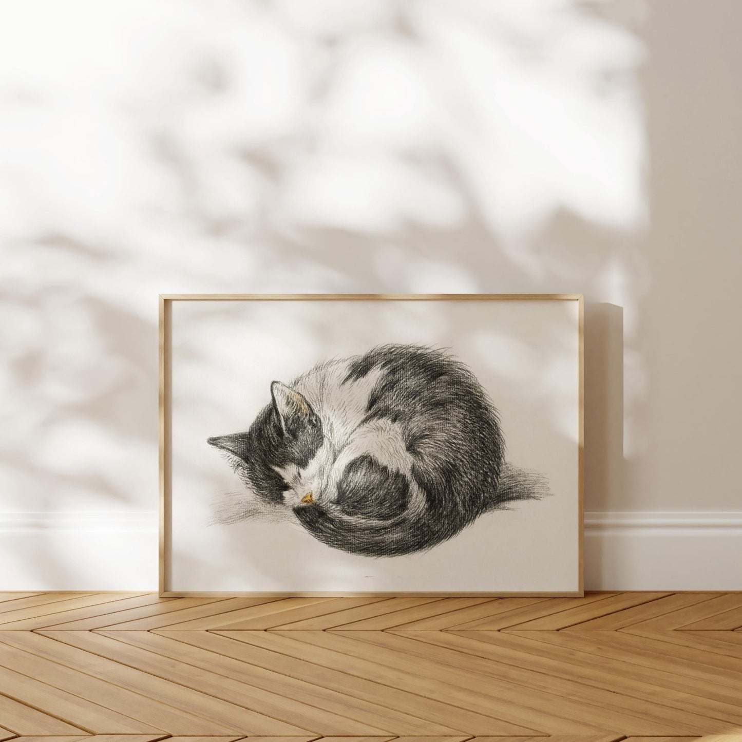 Jean Bernard - Curled Up Sleeping Cat | Art Prints | Pathos Studio