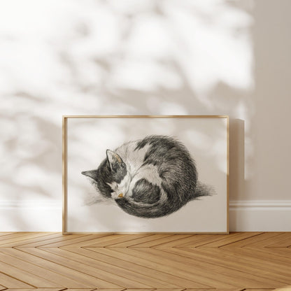 Jean Bernard - Curled Up Sleeping Cat | Art Prints | Pathos Studio