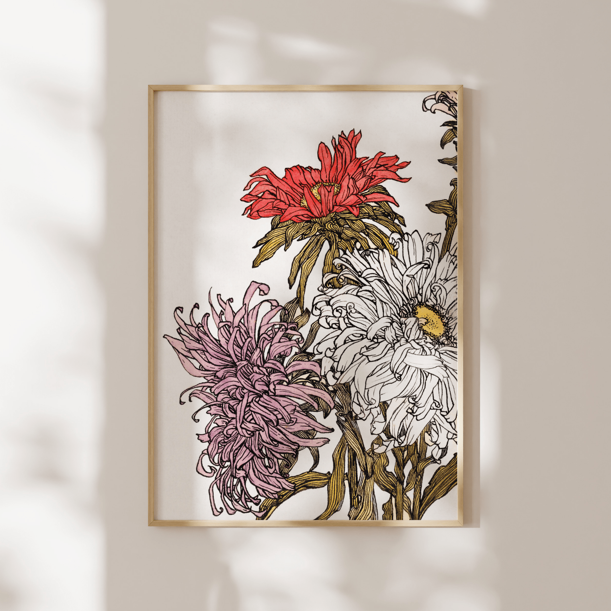 Julie De Graag - Chrysanthemums | Art Prints | Pathos Studio