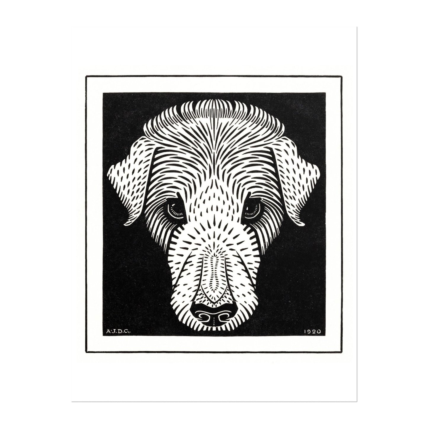 Julie De Graag - Dog's Head | Art Prints | Pathos Studio