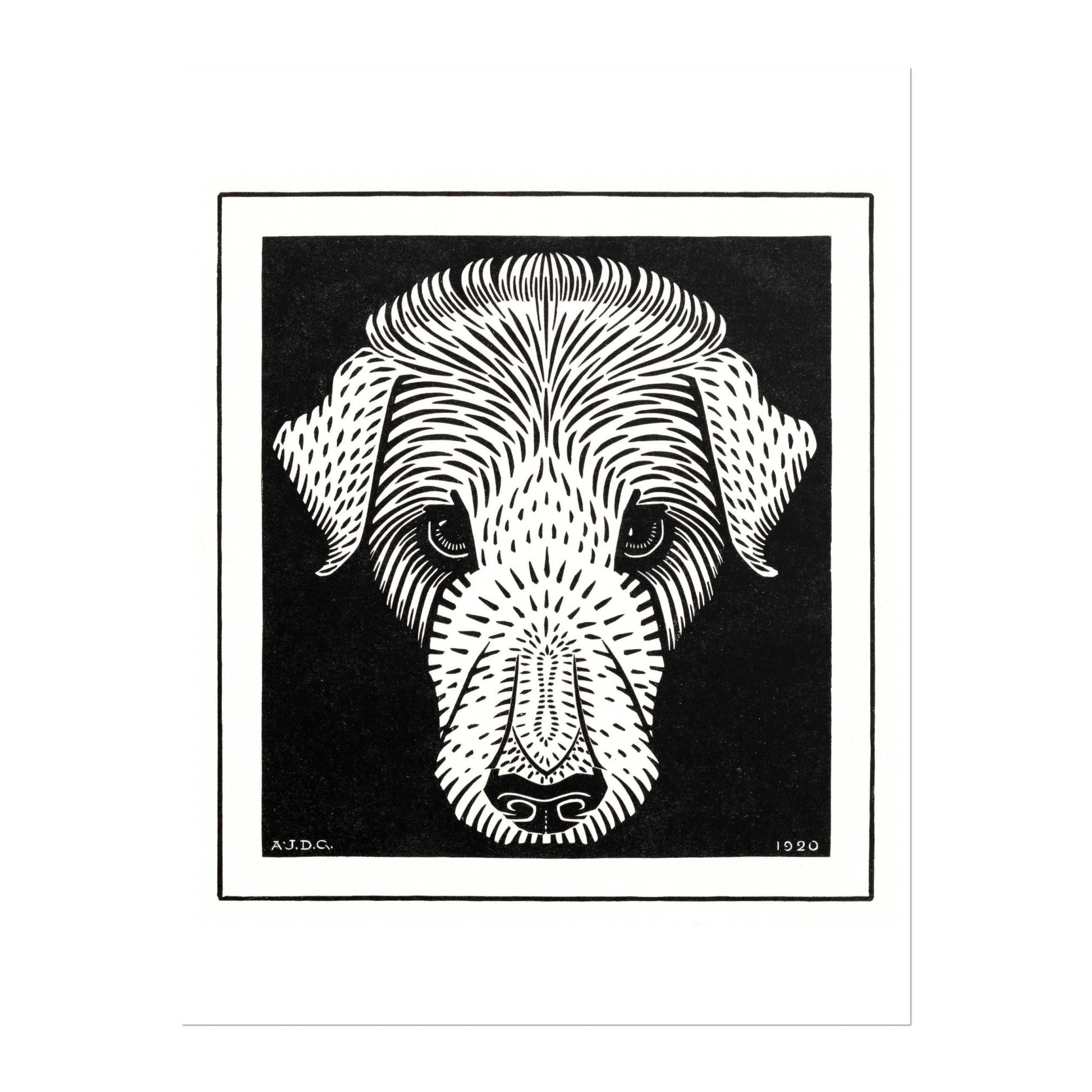 Julie De Graag - Dog's Head | Art Prints | Pathos Studio