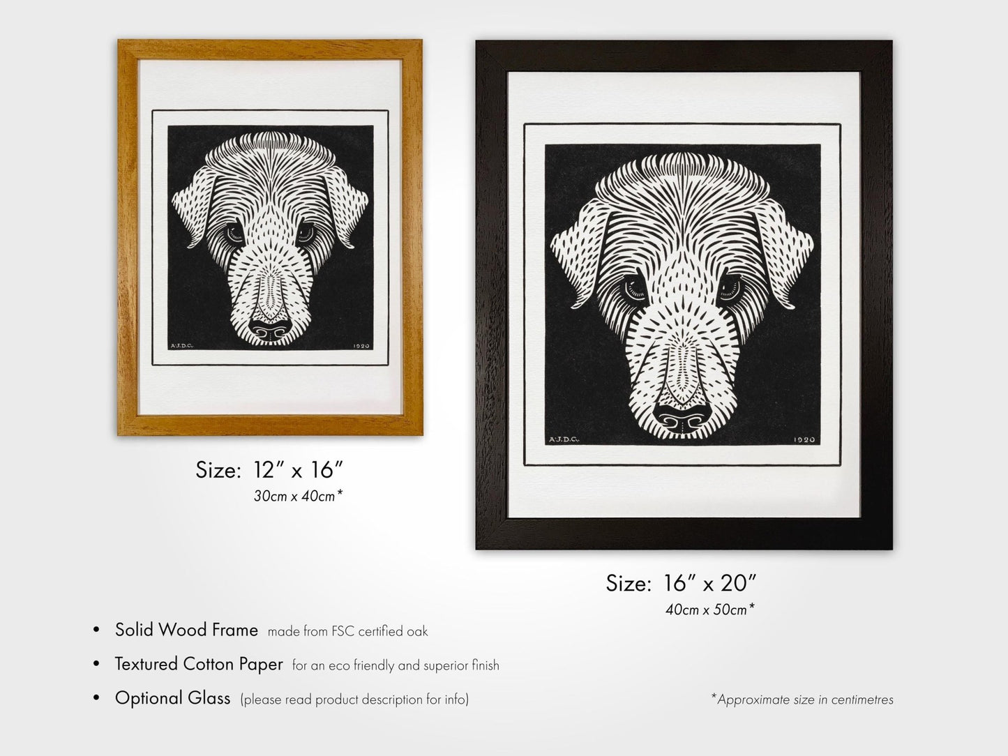 Julie De Graag - Dog's Head | Art Prints | Pathos Studio