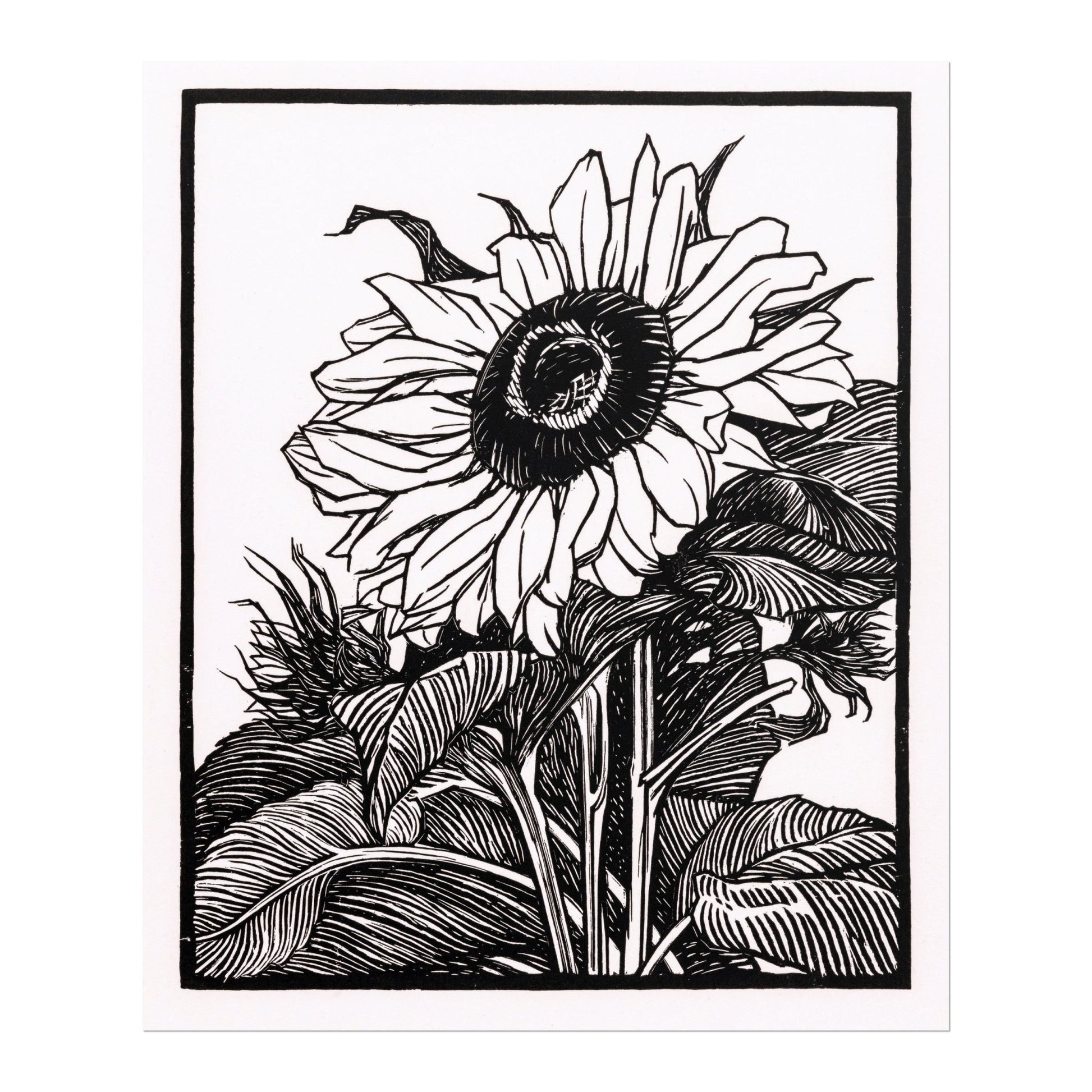 Julie De Graag - Sunflower | Art Prints | Pathos Studio