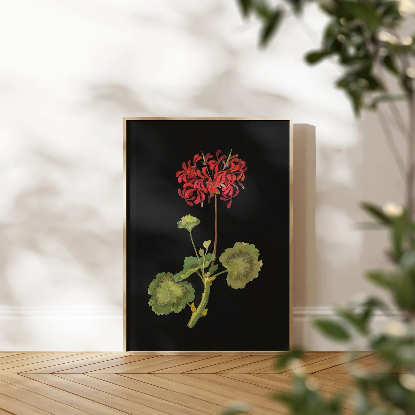 MARY DELANY - Geranium - Pathos Studio - Art Prints