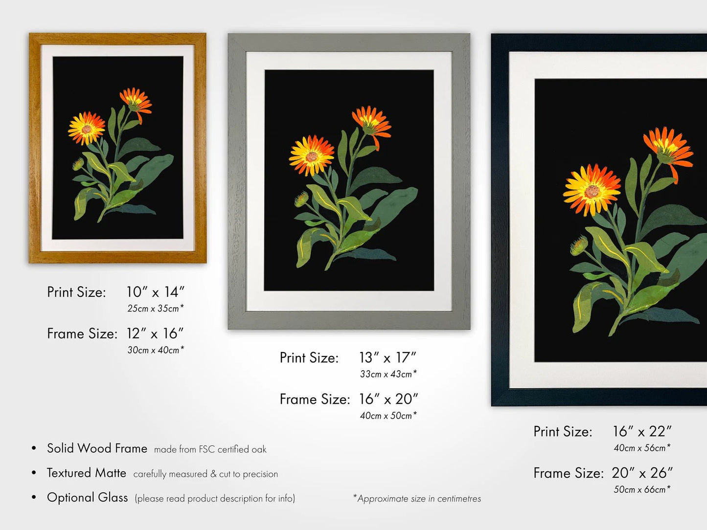 MARY DELANY - Marigold - Pathos Studio - Art Prints