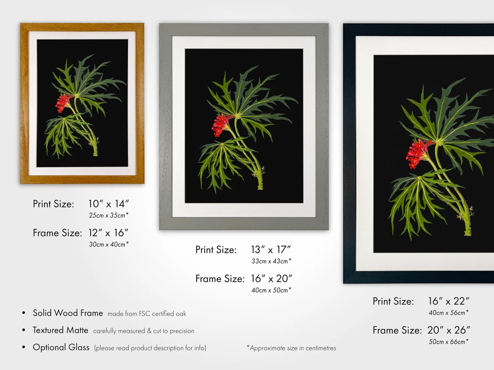 MARY DELANY - Scarlet - Flowered Phyvic - Nut - Pathos Studio - Art Prints