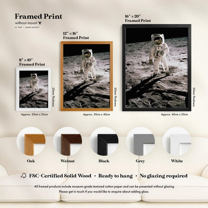NASA - Buzz Aldrin on the Moon | Art Prints | Pathos Studio