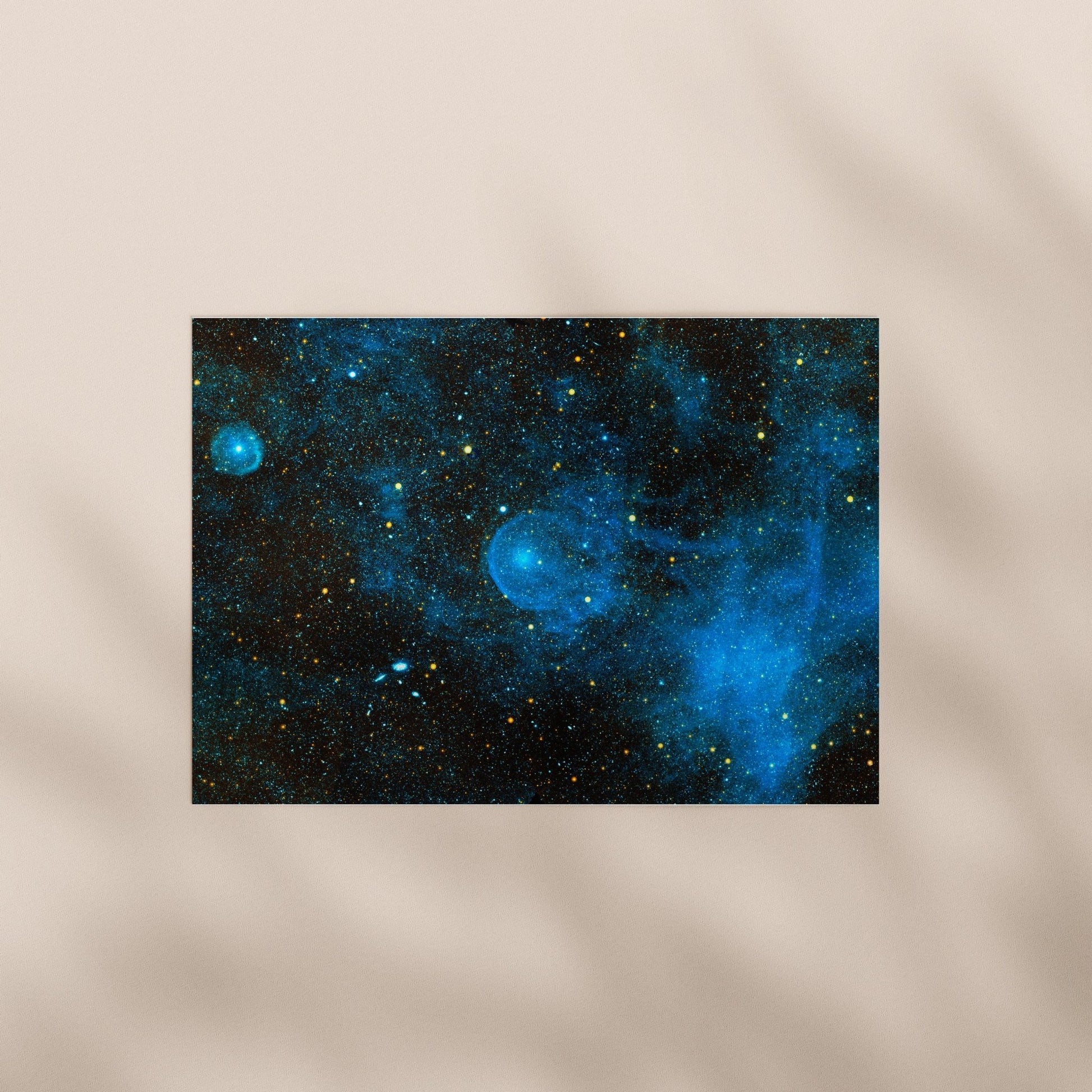 NASA - CW Leo | Art Prints | Pathos Studio