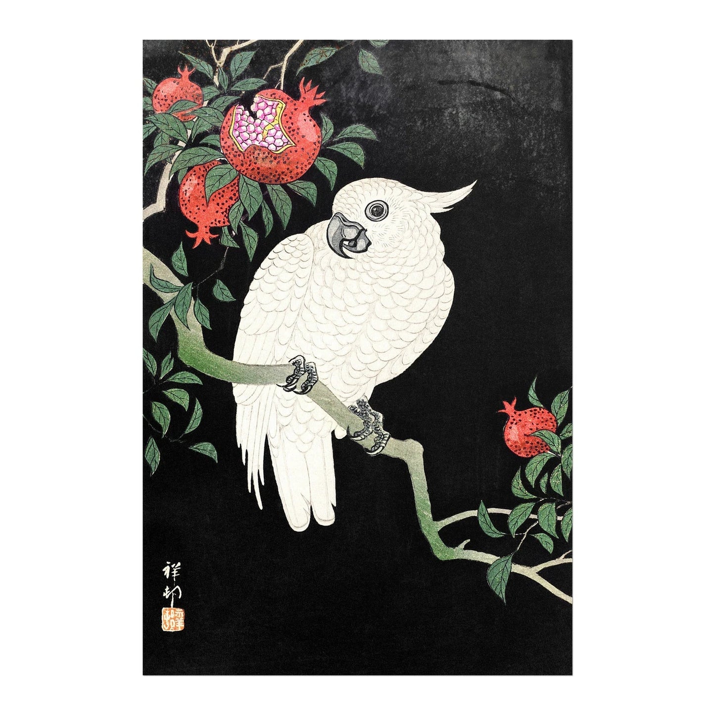 OHARA KOSON - Cockatoo and Pomegranate - Pathos Studio - Art Prints