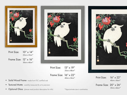 OHARA KOSON - Cockatoo and Pomegranate - Pathos Studio - Art Prints