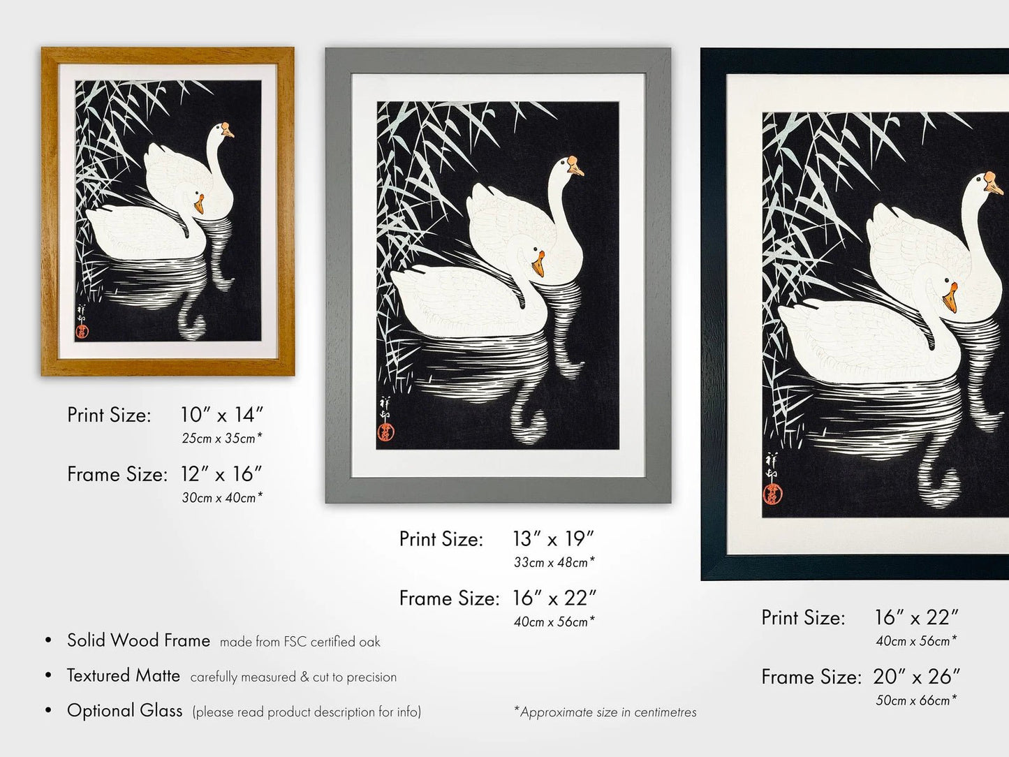 OHARA KOSON - White Chinese Geese Swimming by Reeds - Pathos Studio - Art Prints