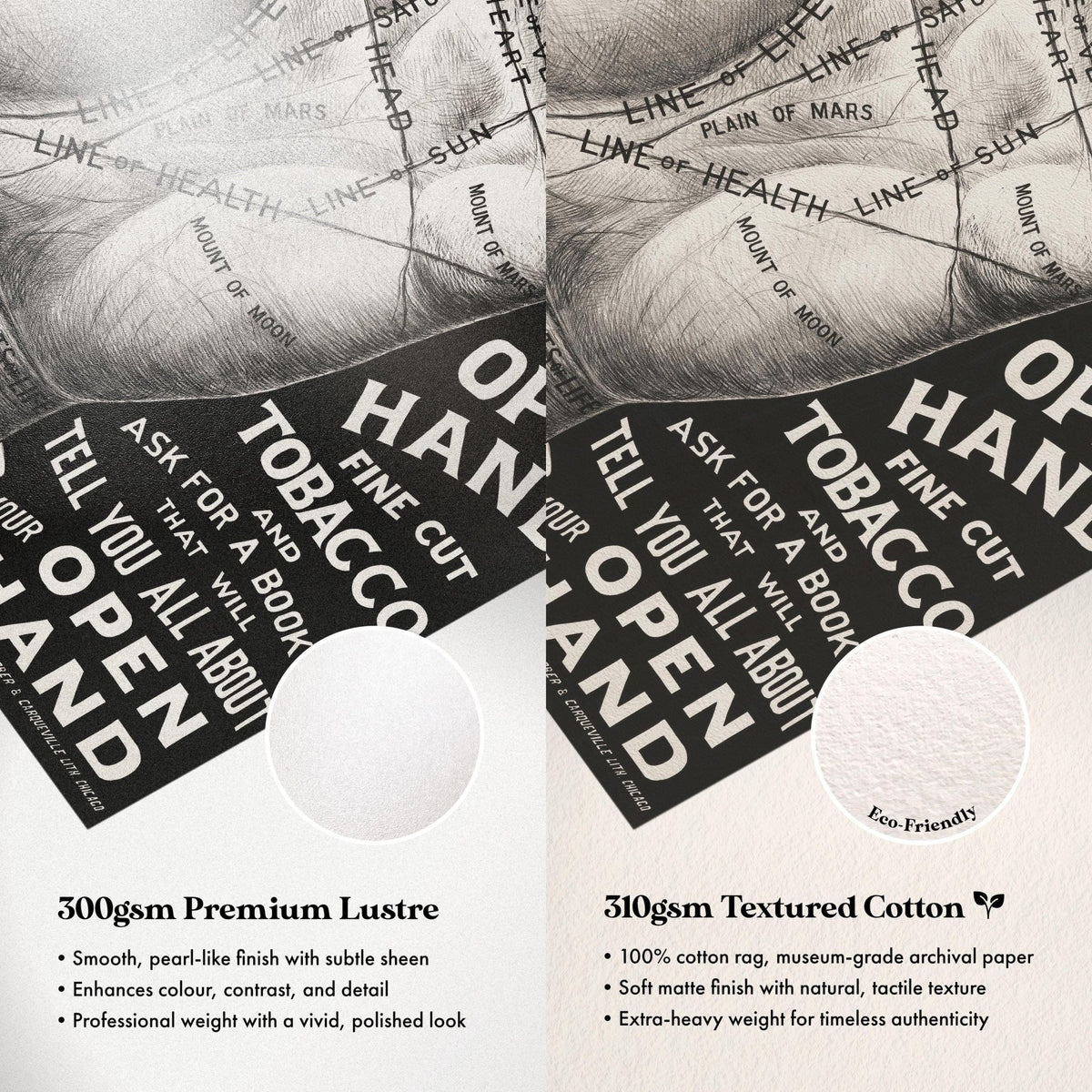 Paper Comparison