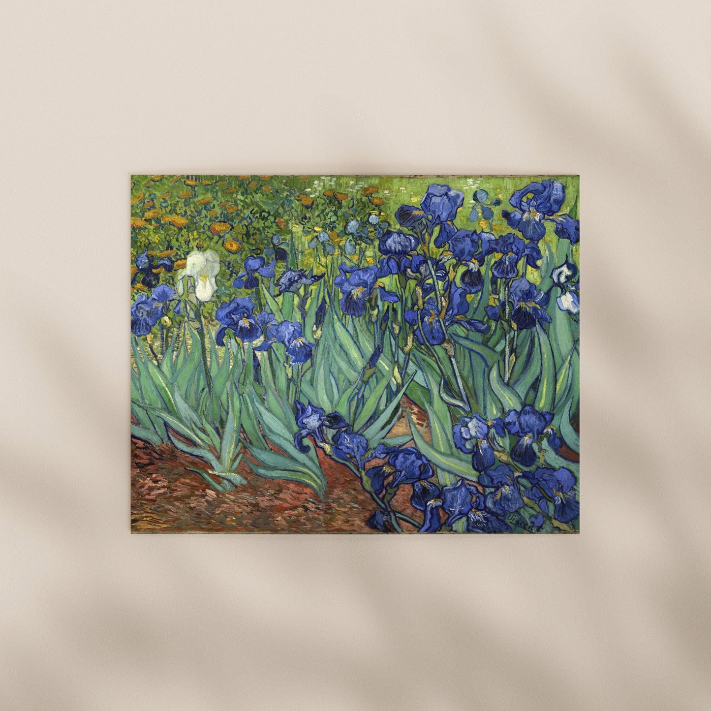 Vincent Van Gogh - Irises | Art Prints | Pathos Studio
