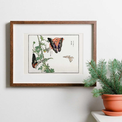 MORIMOTO TOKO - Butterflies And Plant Illustration