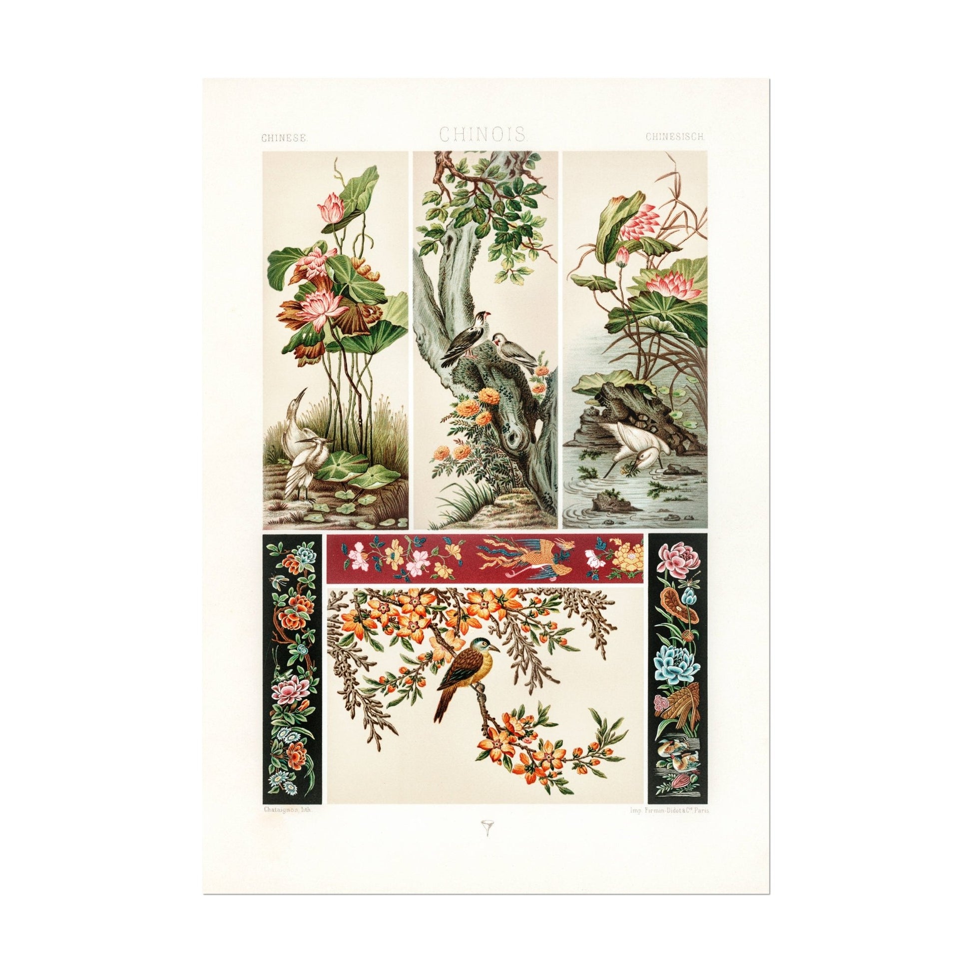 ALBERT RACINET - Set of 3 Chinese Patterns - Pathos Studio - Posters, Prints, & Visual Artwork