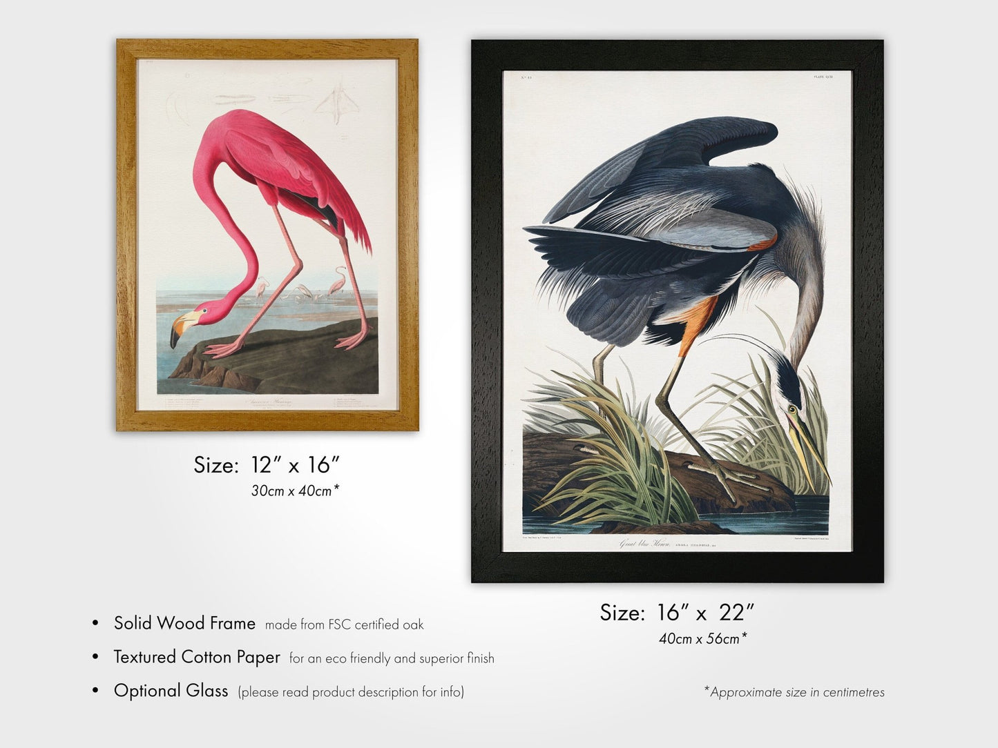 BIRDS OF AMERICA - Set of 3 (Flamingo, Crane & Heron) - Pathos Studio - Posters, Prints, & Visual Artwork