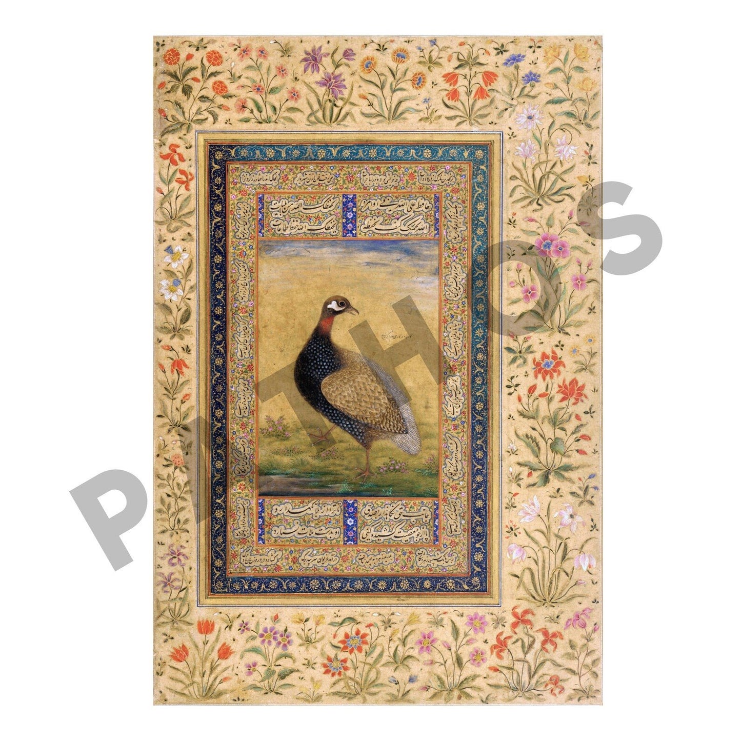 Schwarzer Francolin (traditionelle persische Miniaturkunst)