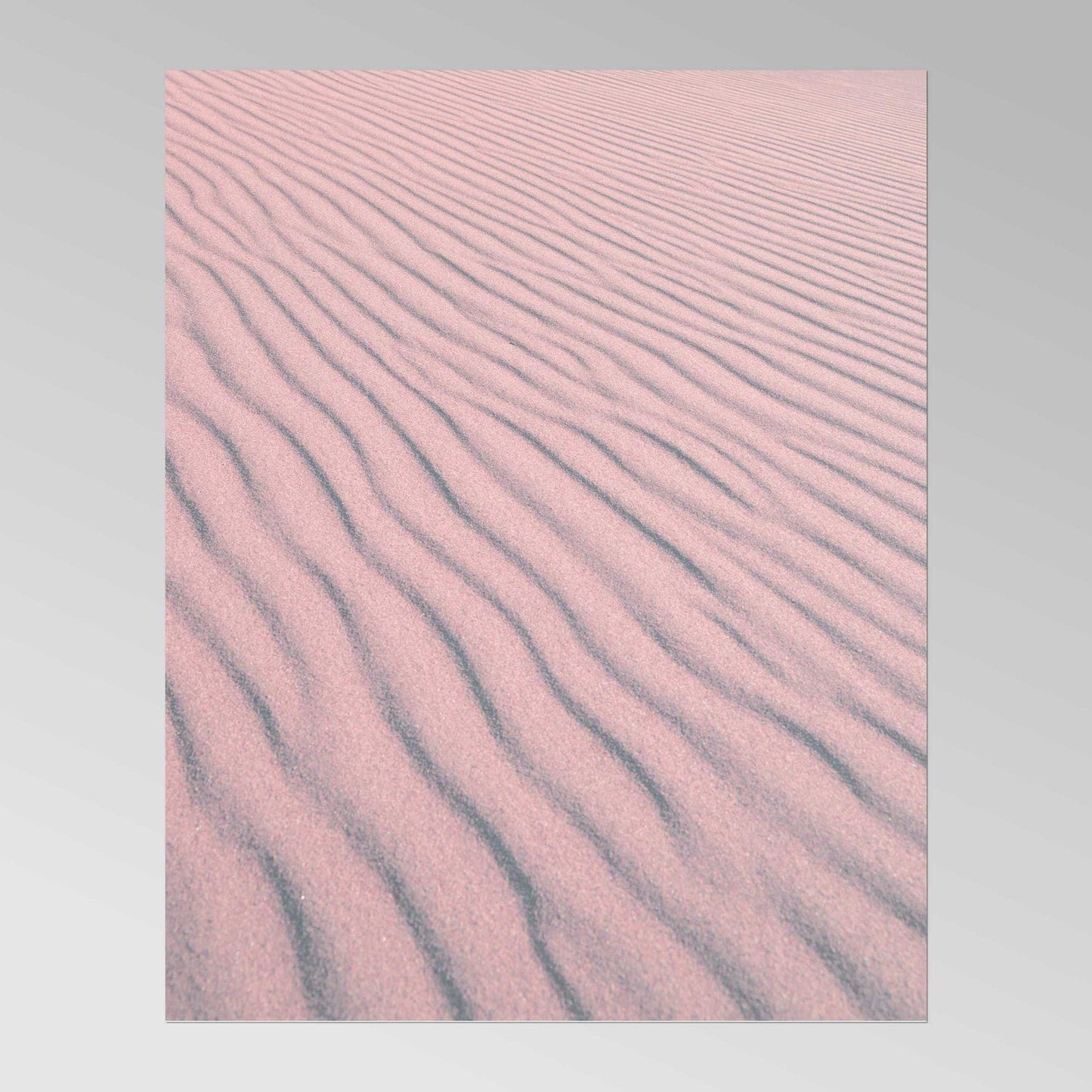 CAROL M. HIGHSMITH - Une partie des grandes dunes de sable