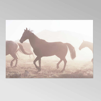 CAROL M. HIGHSMITH – Pferde auf dem Weg zum Corral