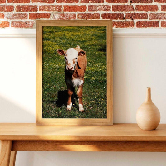 Photography – Pathos Studio