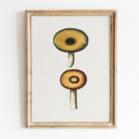 Galerina Mushroom (Illustration vintage de 'Biodiversity Heritage Library')