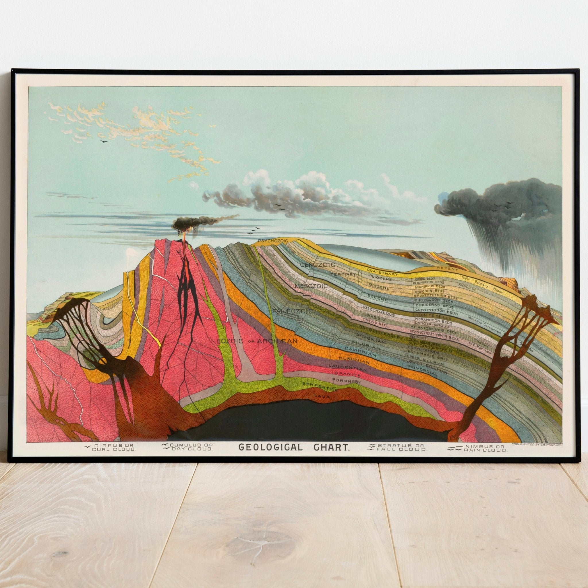 Geological Chart – Pathos Studio