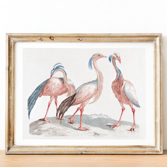 JOHAN TEYLER - Miss Crane Birds (À La Poupée)