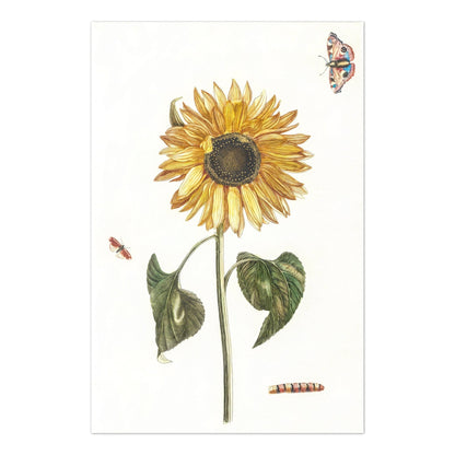 JOHAN TEYLER - Sunflower, Caterpillar & Two Butterflies (À La Poupée)