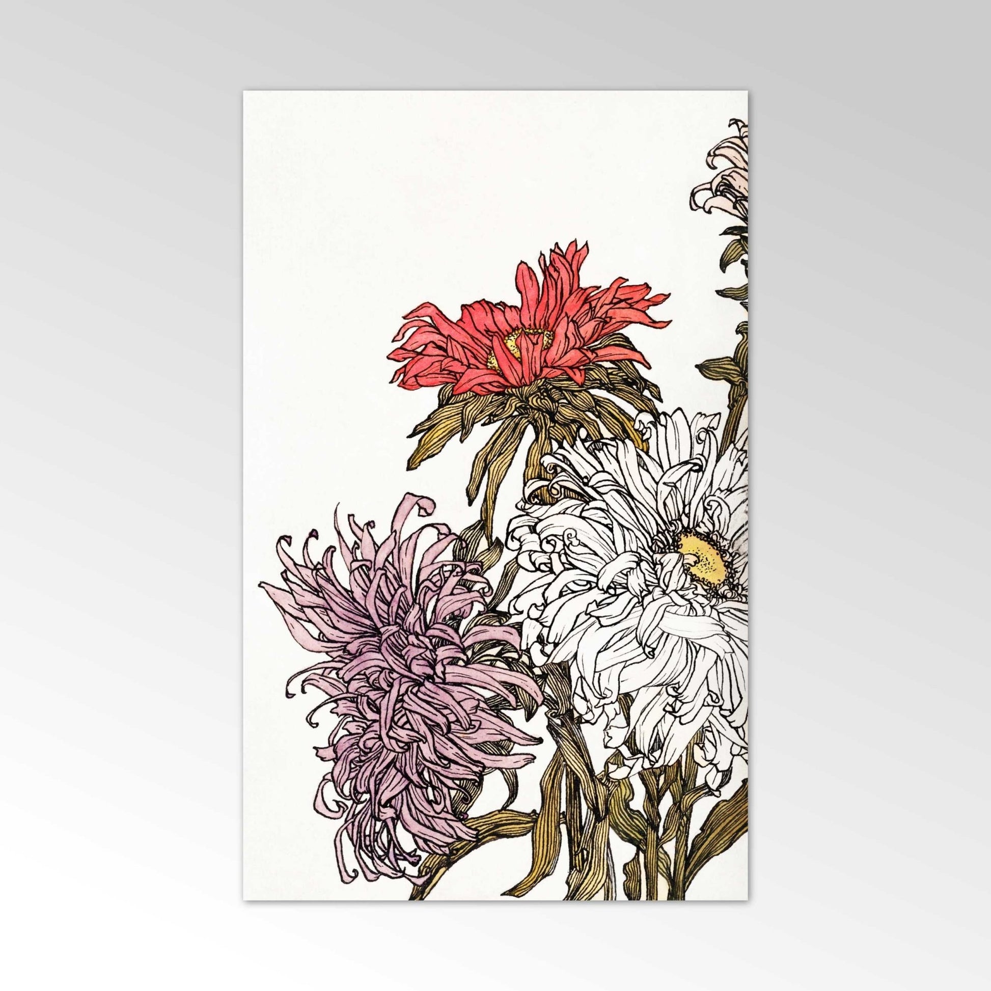 JULIE DE GRAAG - Chrysanthemums - Pathos Studio - Posters, Prints, & Visual Artwork