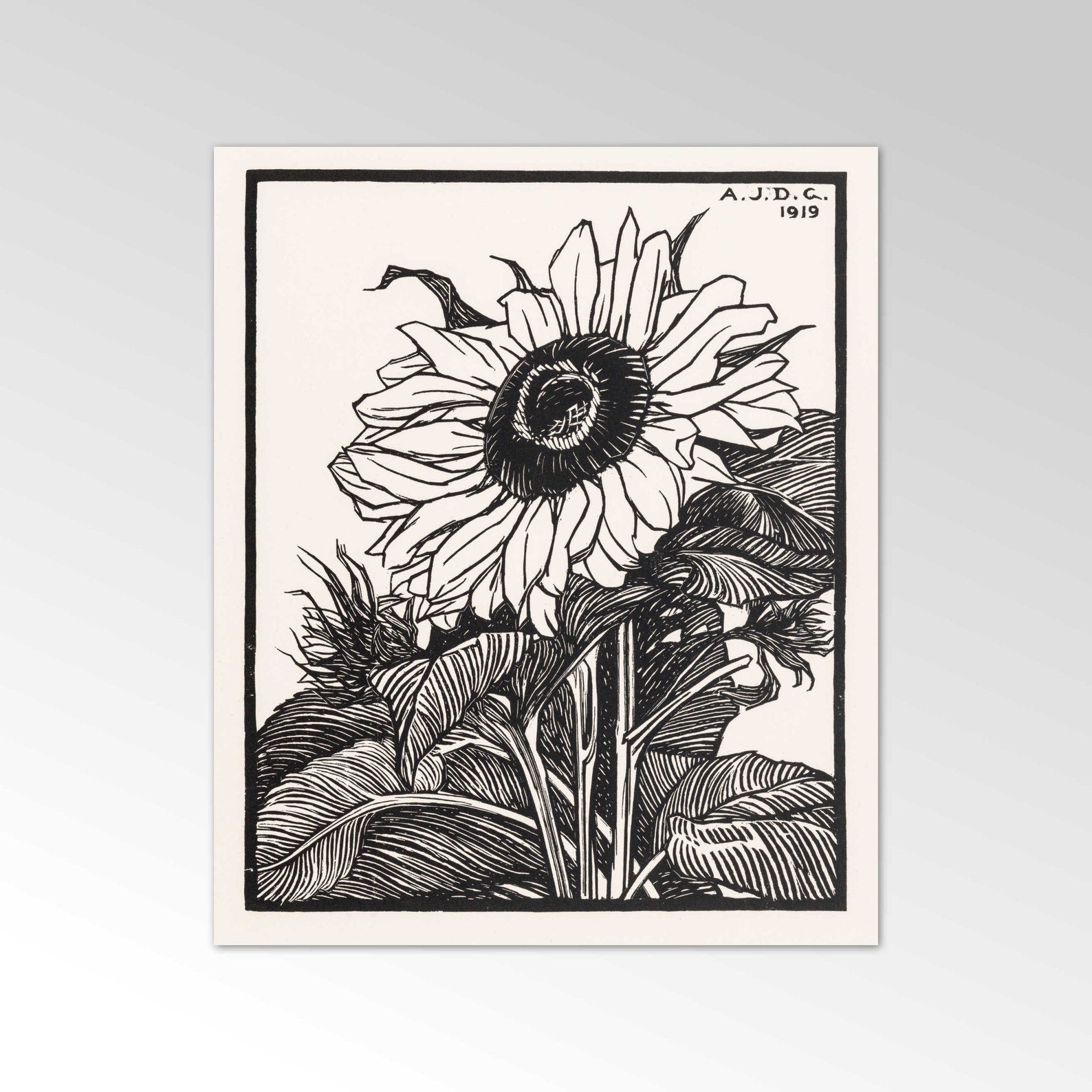 JULIE DE GRAAG - Sunflower - Pathos Studio -
