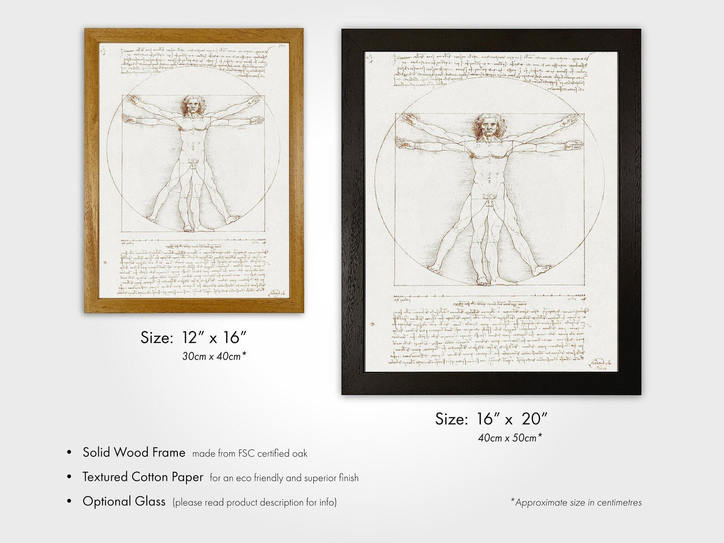 LEONARDO DA VINCI - Vitruvian Man - Pathos Studio -