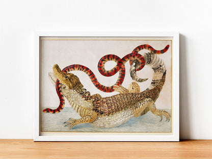 MARIA SIBYLLA MERIAN - Crocodile of Surinam with Snake - Pathos Studio - Posters, Prints, & Visual Artwork