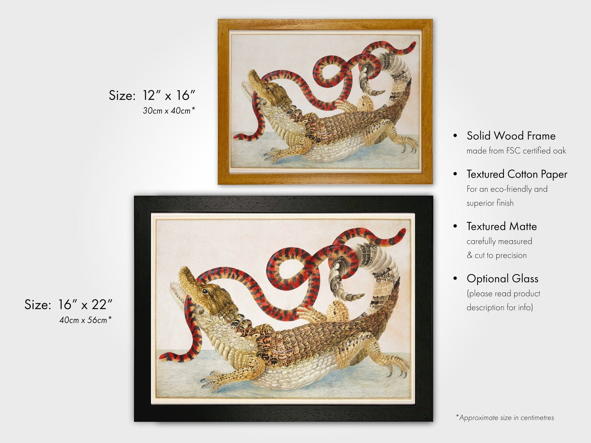 MARIA SIBYLLA MERIAN - Crocodile of Surinam with Snake - Pathos Studio - Posters, Prints, & Visual Artwork