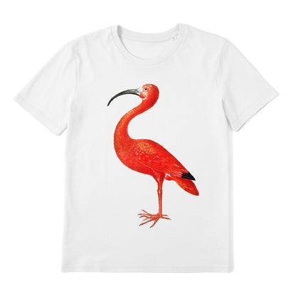 MARIA SIBYLLA MERIAN - Scarlet Ibis T-Shirt - Pathos Studio - T-Shirts