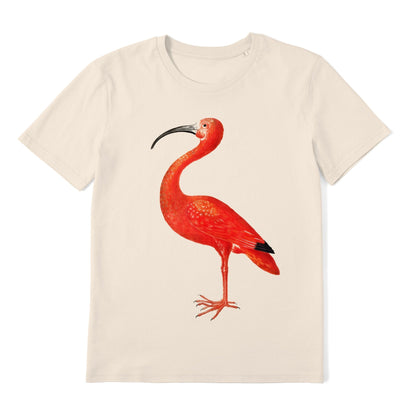 MARIA SIBYLLA MERIAN - Scarlet Ibis T-Shirt - Pathos Studio - T-Shirts