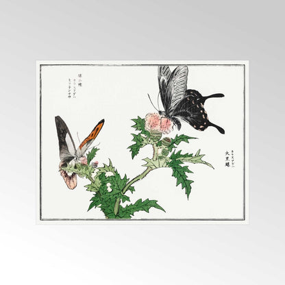 MORIMOTO TOKO - Illustration Papillon Et Fleur