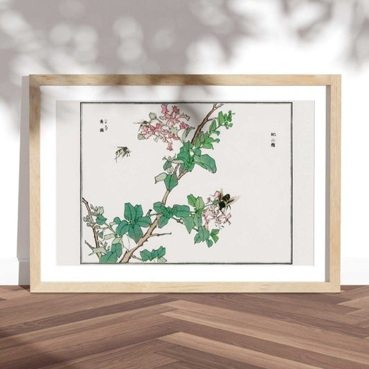 Horsefly Illustration