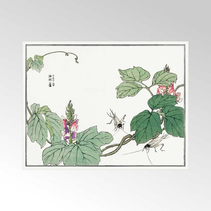 MORIMOTO TOKO - Illustration de feuilles et de fleurs
