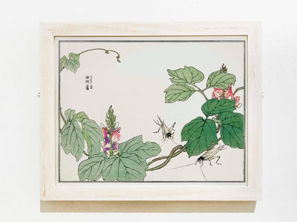 MORIMOTO TOKO - Illustration de feuilles et de fleurs